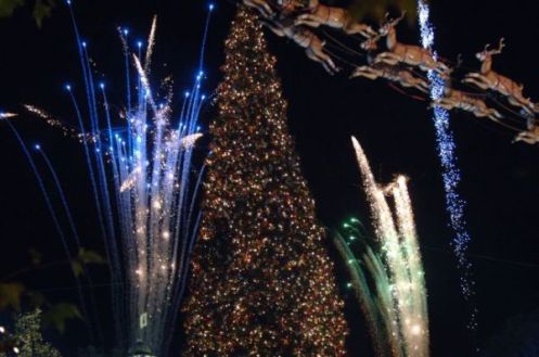 November 23, 2008 - Annual Tree Lighting Ceremony at The Grove